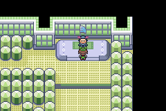 screenshots/Game Boy Advance/Pokemon - Emerald - Ruby - Sapphire/Pokemon Emerald (Eng) 043.png